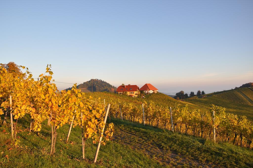 Weingut Koegl Bed & Breakfast Ratsch an der Weinstrasse Exterior photo