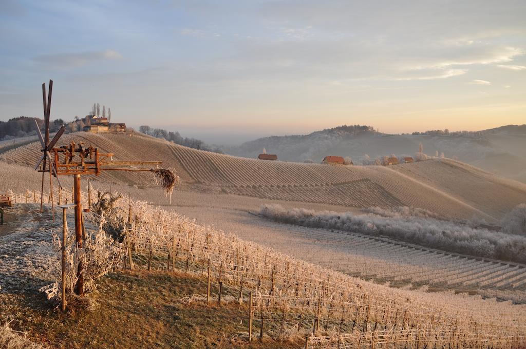 Weingut Koegl Bed & Breakfast Ratsch an der Weinstrasse Exterior photo